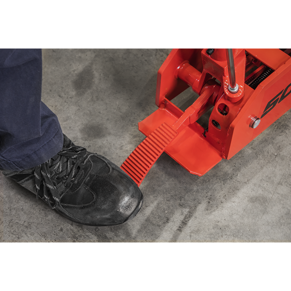 product with model